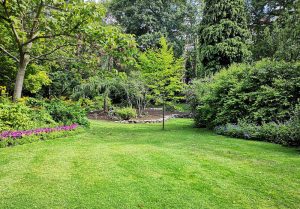 Optimiser l'expérience du jardin à Parce